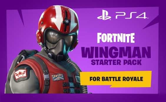 Fortnite Wingman Starter pack
